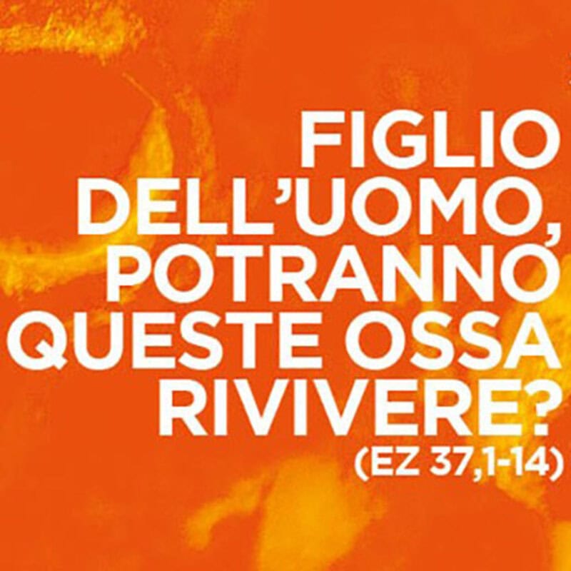 Giovedì 16/1: Pellegrini di speranza – Il giubileo biblico (Levitico/Va’iqrà 25)